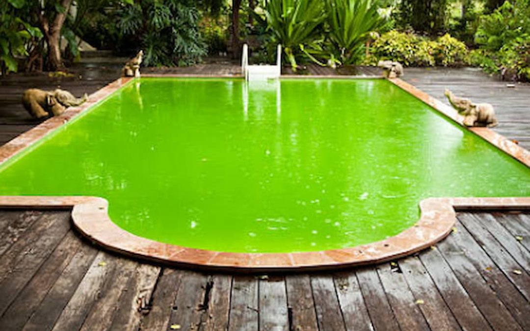 Color del agua de la piscina y su relación con su salud