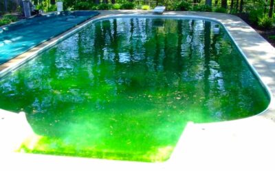 Agua turbia en la piscina: causas, soluciones y consejos para disfrutar del agua cristalina